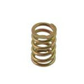 Brake pad retaining spring