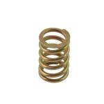 Brake pad retaining spring