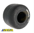 VEGA XM4 AR